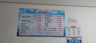 조은홍어