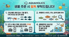 아쿠아릭스F&B | 아쿠아홀릭스