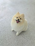 멍테일즈