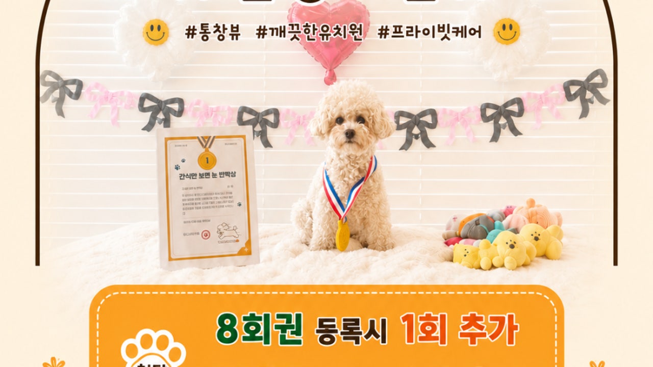 우다다멍 애견유치원 & 애견카페