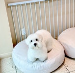 쭈니살롱
