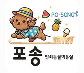 반려동물미용실 포송