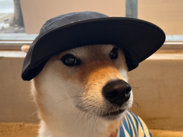 무토