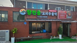 향천골오리