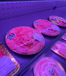 더 건강한 한우프라자
