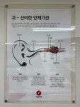 덴마크보청기 관악점