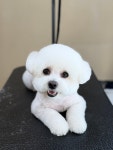 발렌티몽
