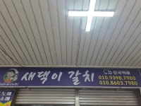 새댁이 갈치