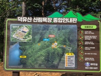 무주 삼향삼색펜션
