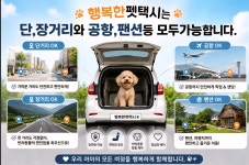 행복한펫택시