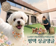 싱글댕글 애견유치원&애견호텔
