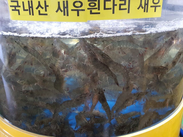 서하네&서해수산