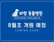 파랑동물병원