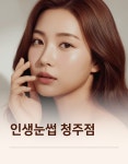 인생눈썹
