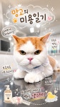 냥스터치 고양이 미용 & 호텔