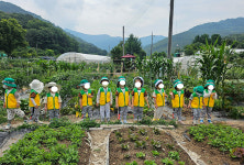더 숲어린이집