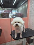 오늘THE이쁘개