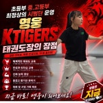 영웅KTIGERS태권도 1관본관