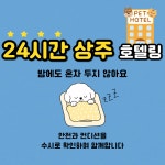 개꿀 애견유치원&호텔