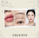 인생눈썹