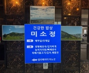 미소정