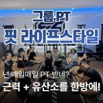 핏 라이프스타일 해운대