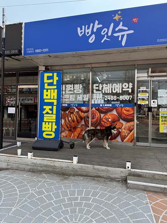 빵잇슈 진천터미널점 사진