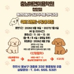 충남애견미용2관학원 | 충남애견미용학원