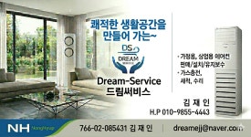 드림써비스