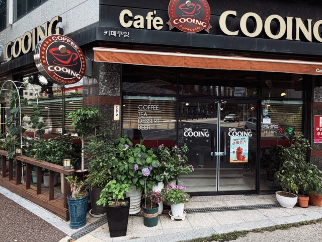 카페쿠잉