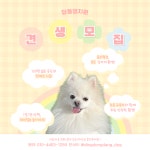 딩동댕치원