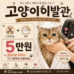 고양이이발관 송도점