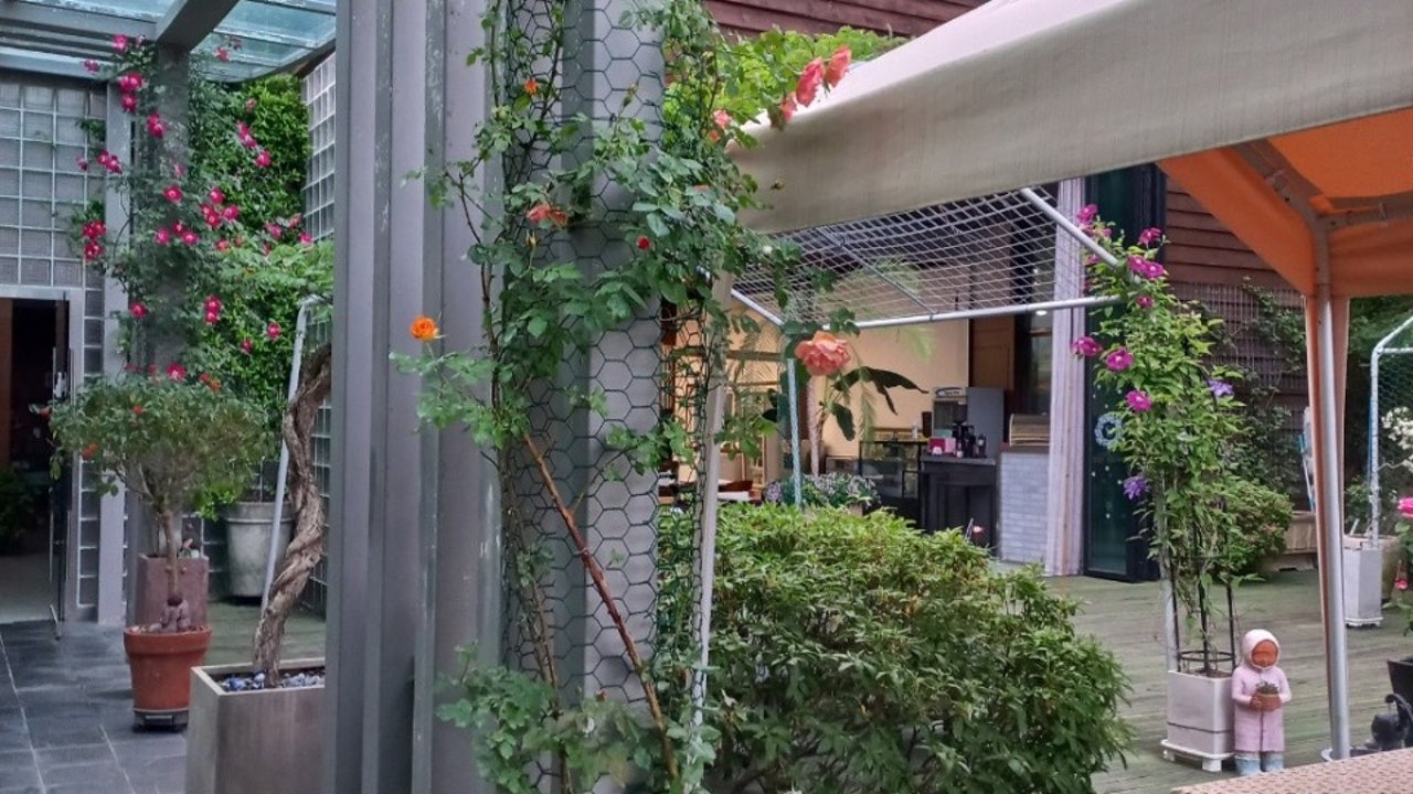 모예