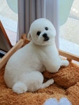 똥강아지반려견미용실호텔