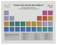 셀365웰정형외과재활의학과의원 신사점