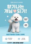 쁘띠꾸숑
