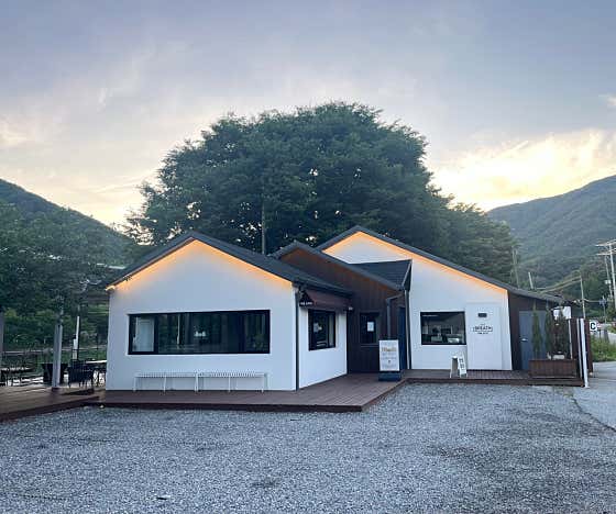 카페 브리드 사진
