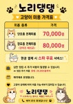 노리댕댕