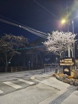 노아오토캠핑장