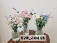 마리의정원