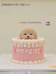 빵긋댕긋