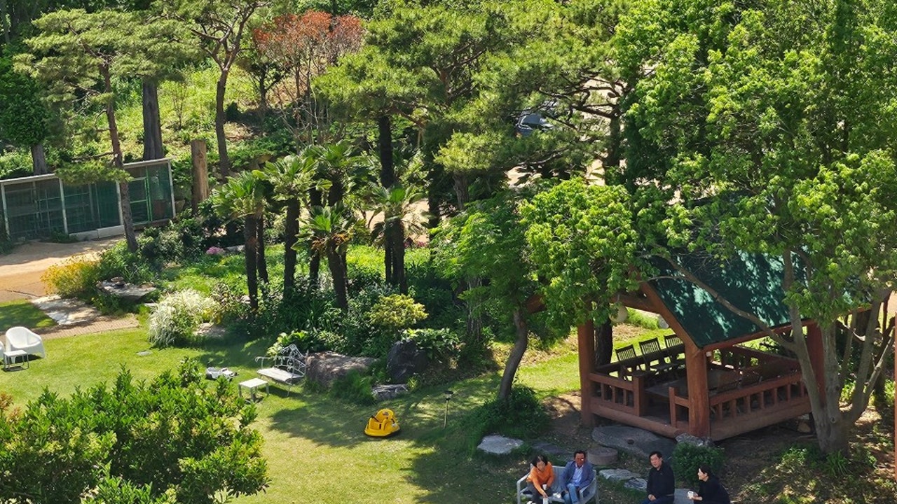 카페대동숲