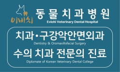 이비치동물치과병원
