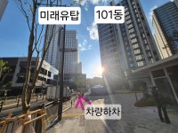 경희대 석사 태권도