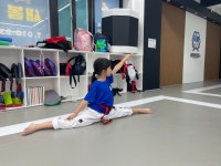 새봄태권도