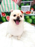 멍실묭실