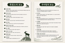 가학산 흑염소