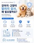 365 마음동물병원
