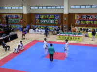 부산 디케이짐 합기도 주짓수 킥복싱