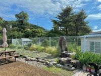 라울도비민박